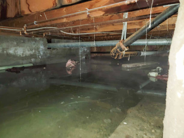 Best Water damage restoration near me  in Northlake, IL