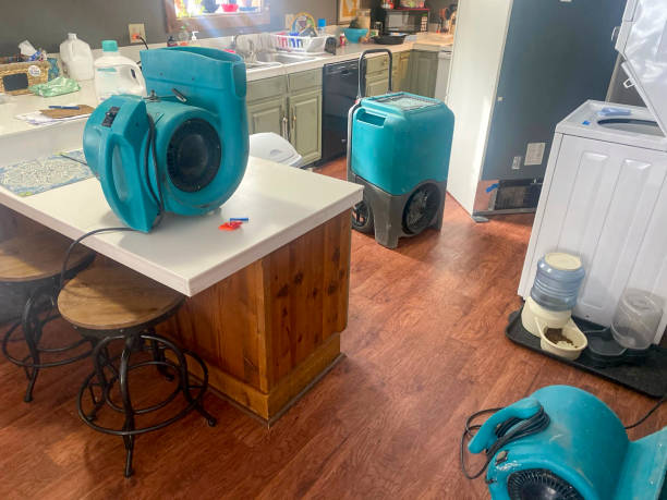 Best Emergency water damage restoration  in Northlake, IL