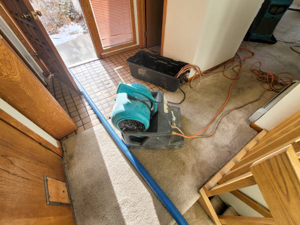 Best Water damage restoration process  in Northlake, IL