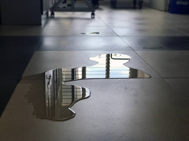Best Professional water damage repair  in Northlake, IL