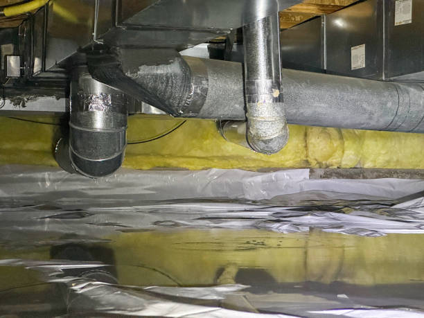Best Flooded house restoration  in Northlake, IL
