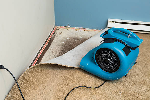 Best Residential water damage restoration  in Northlake, IL